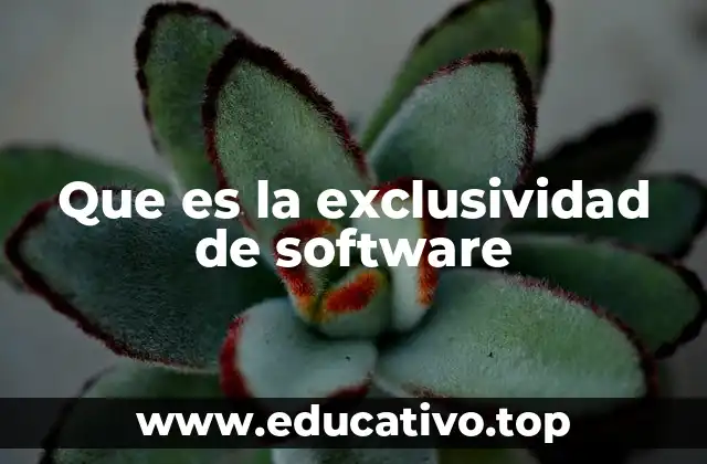 Que es la exclusividad de software