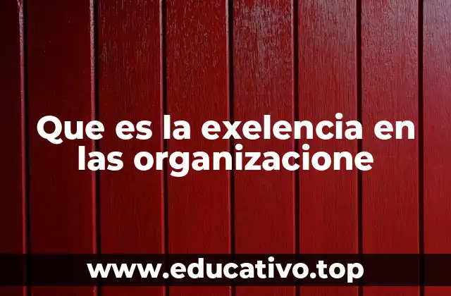 Que es la exelencia en las organizacione
