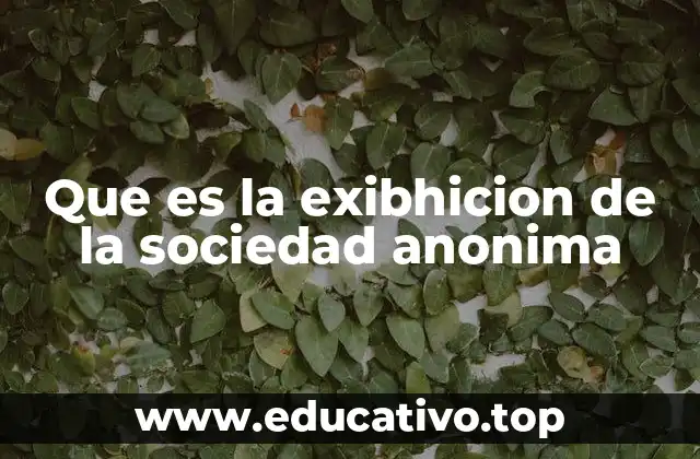 Que es la exibhicion de la sociedad anonima