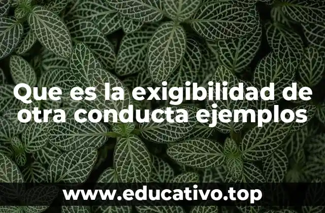 Que es la exigibilidad de otra conducta ejemplos