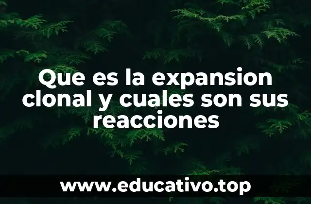 El papel de la expansión clonal en la respuesta inmunitaria