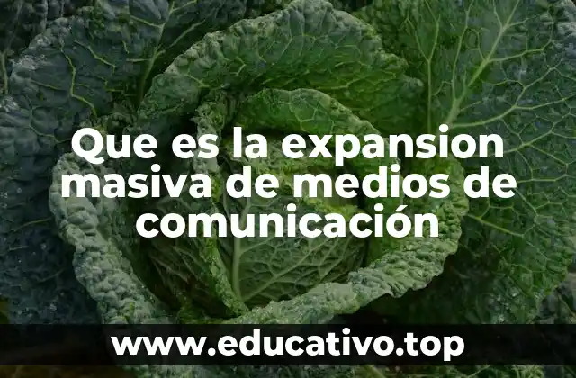 Que es la expansion masiva de medios de comunicación