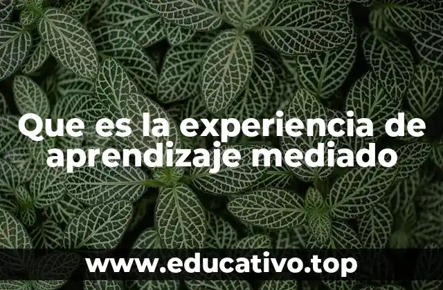 Que es la experiencia de aprendizaje mediado