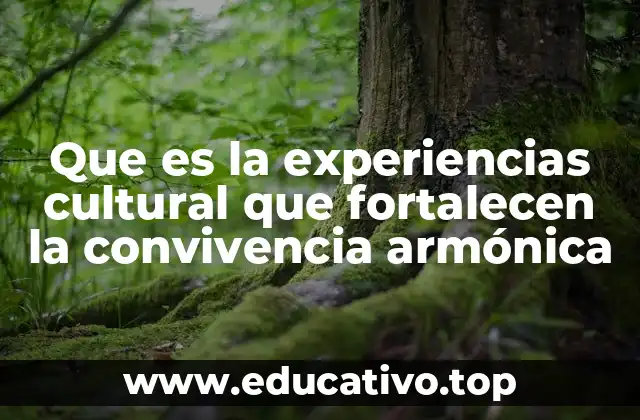 Que es la experiencias cultural que fortalecen la convivencia armónica