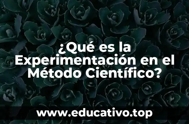 ¿Qué es la Experimentación en el Método Científico?