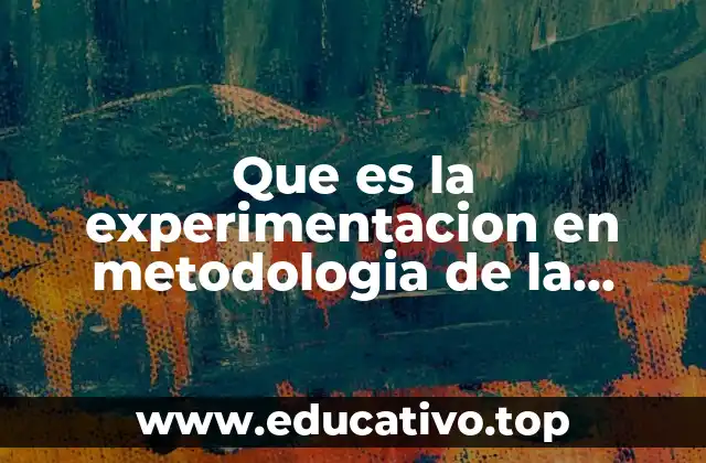 Que es la experimentacion en metodologia de la investigacion
