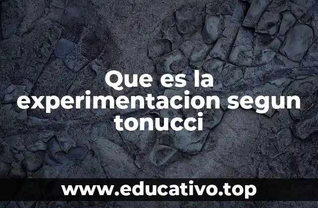 La importancia de la experimentación en el desarrollo infantil