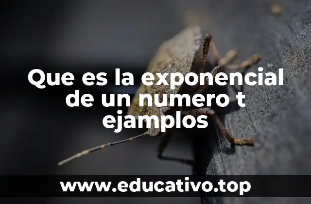 Que es la exponencial de un numero t ejamplos