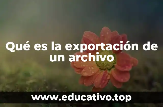 Cómo se relaciona la exportación con la gestión digital