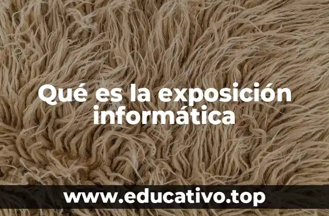 Qué es la exposición informática