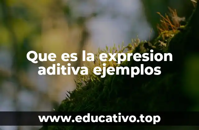 Que es la expresion aditiva ejemplos