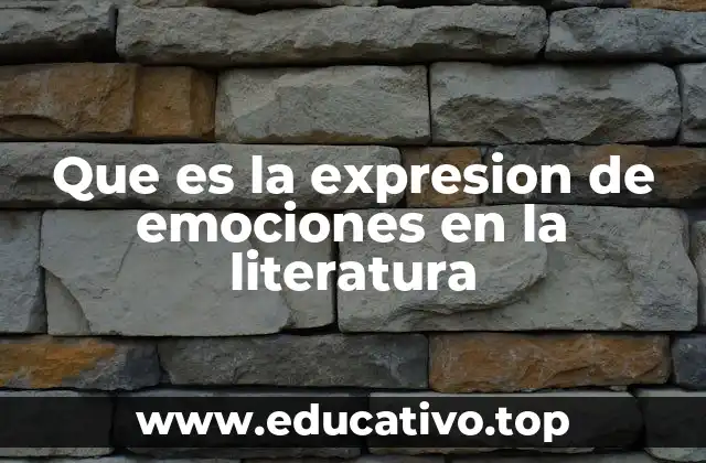 Que es la expresion de emociones en la literatura