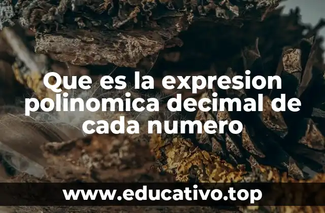 Que es la expresion polinomica decimal de cada numero