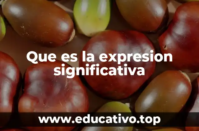 Que es la expresion significativa