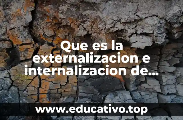 Que es la externalizacion e internalizacion de costos