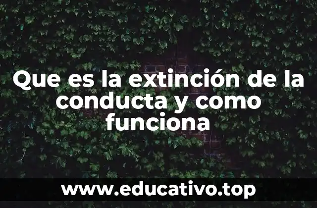 Que es la extinción de la conducta y como funciona