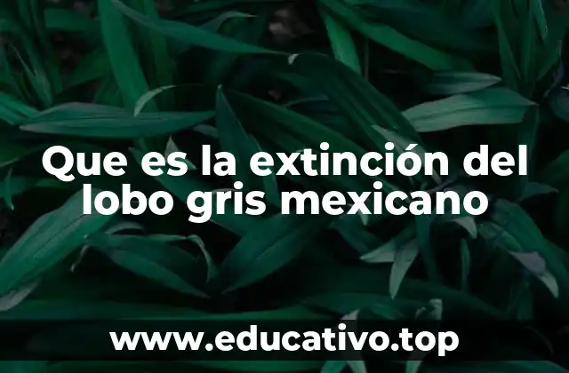 Que es la extinción del lobo gris mexicano