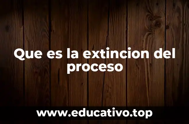 Que es la extincion del proceso