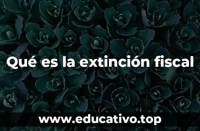 Qué es la extinción fiscal