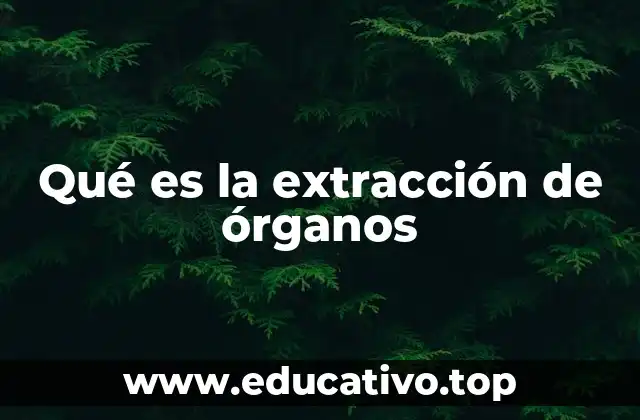 El proceso detrás de la donación de órganos