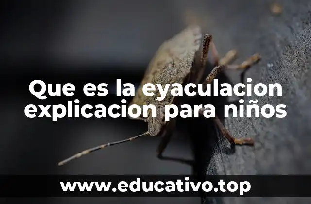 Que es la eyaculacion explicacion para niños