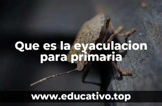 Cómo se explica la eyaculación a los niños de primaria