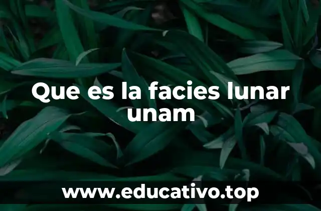 Que es la facies lunar unam