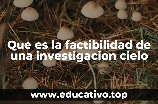 Que es la factibilidad de una investigacion cielo