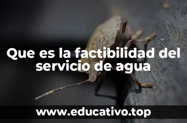Que es la factibilidad del servicio de agua