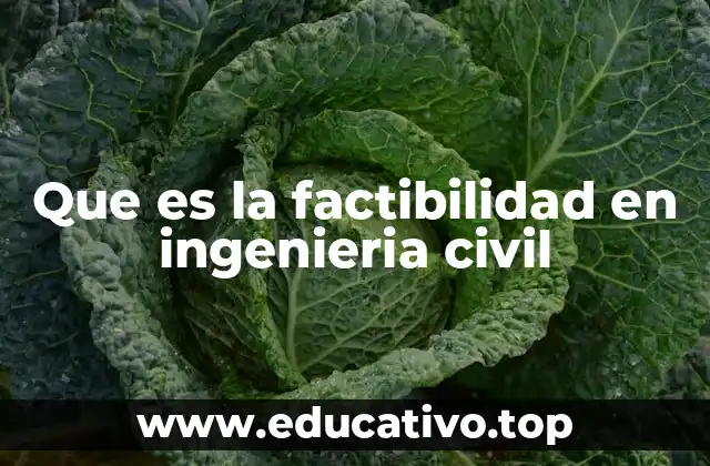 Que es la factibilidad en ingenieria civil