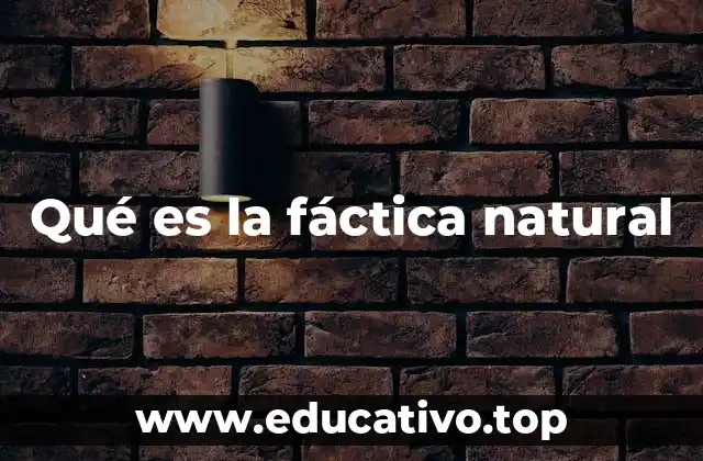 Qué es la fáctica natural