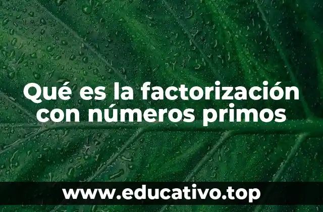Qué es la factorización con números primos