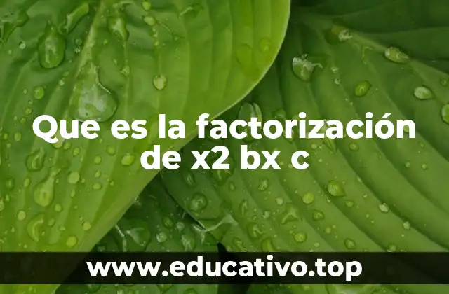 Que es la factorización de x2 bx c