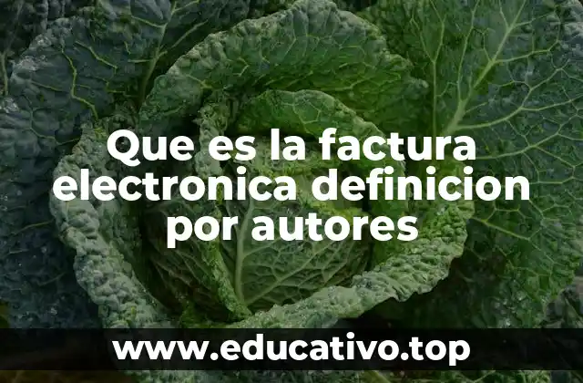 Que es la factura electronica definicion por autores