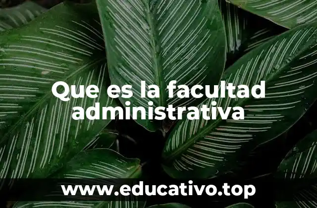 La importancia de la formación en gestión organizacional