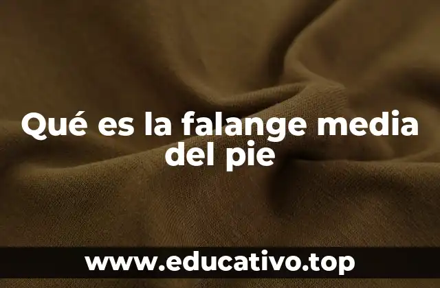Qué es la falange media del pie