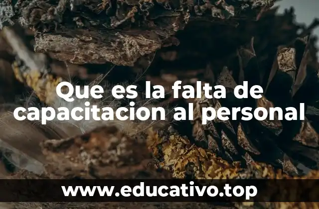 Que es la falta de capacitacion al personal