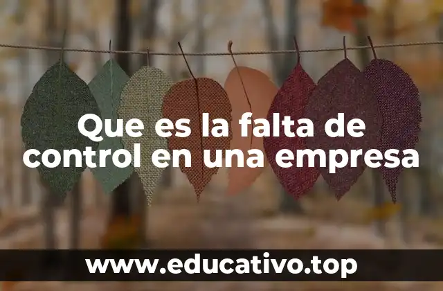 Que es la falta de control en una empresa