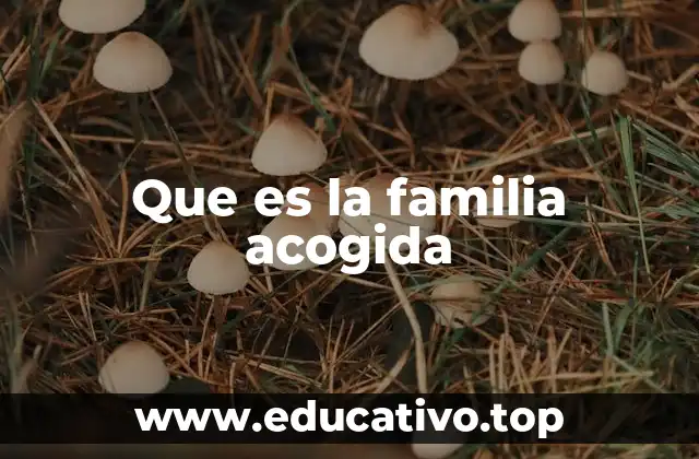 Que es la familia acogida