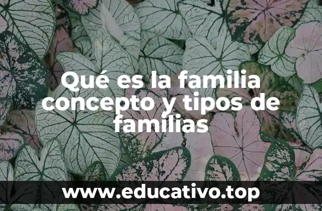 Qué es la familia concepto y tipos de familias