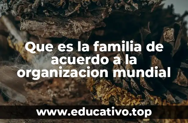 Que es la familia de acuerdo a la organizacion mundial