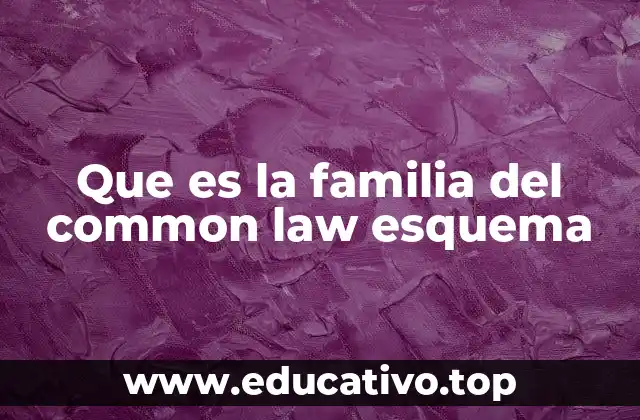 Que es la familia del common law esquema