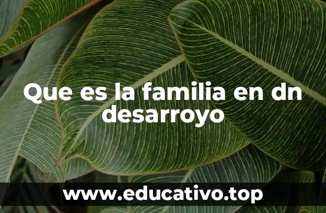 Que es la familia en dn desarroyo