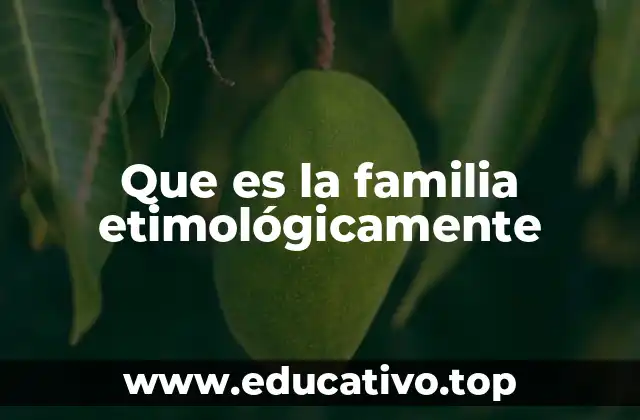 Que es la familia etimológicamente