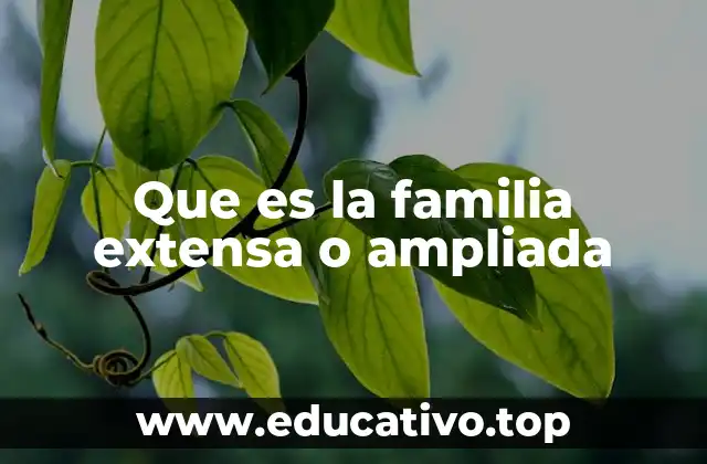 Que es la familia extensa o ampliada