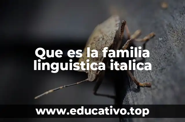 Que es la familia linguistica italica