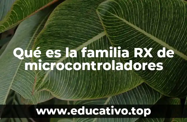 Qué es la familia RX de microcontroladores