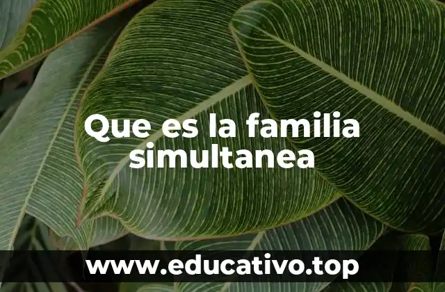 Que es la familia simultanea