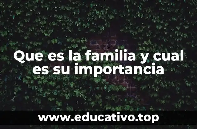 Que es la familia y cual es su importancia