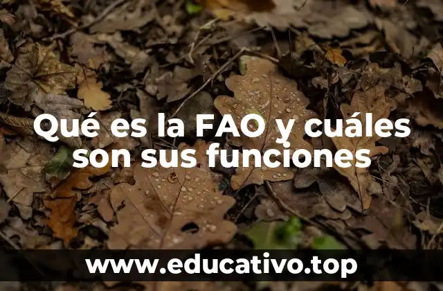 Qué es la FAO y cuáles son sus funciones